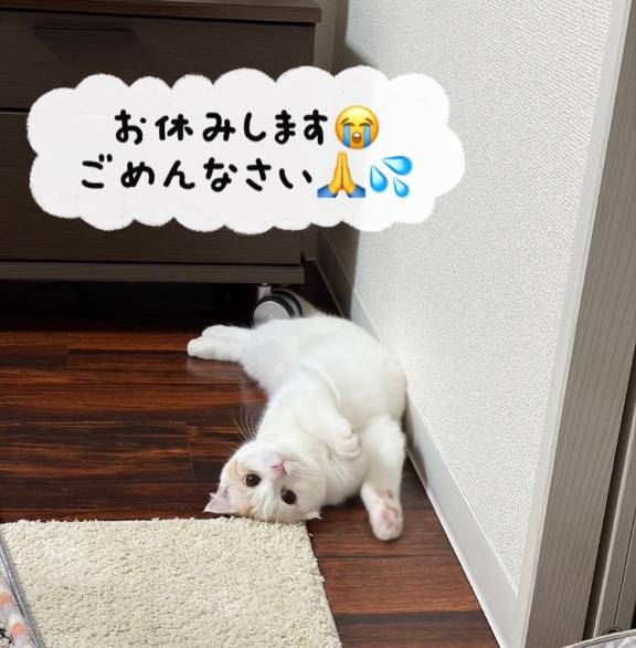 ハナ