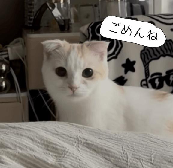 ハナ