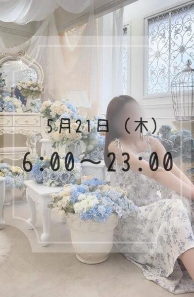 アヤメ