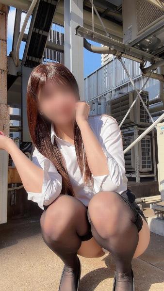 アヤメ