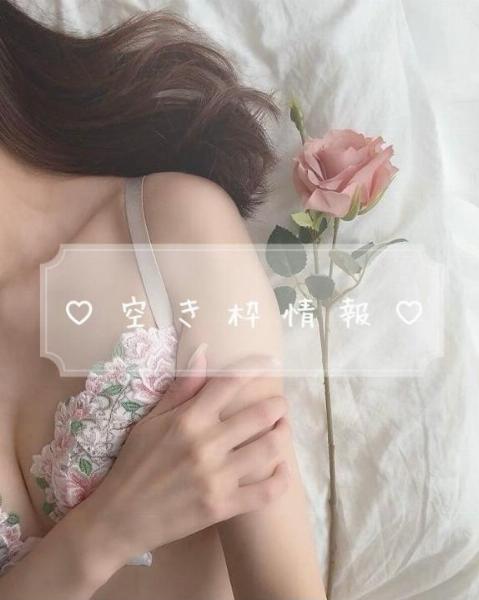 アヤメ